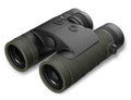 BUR300299